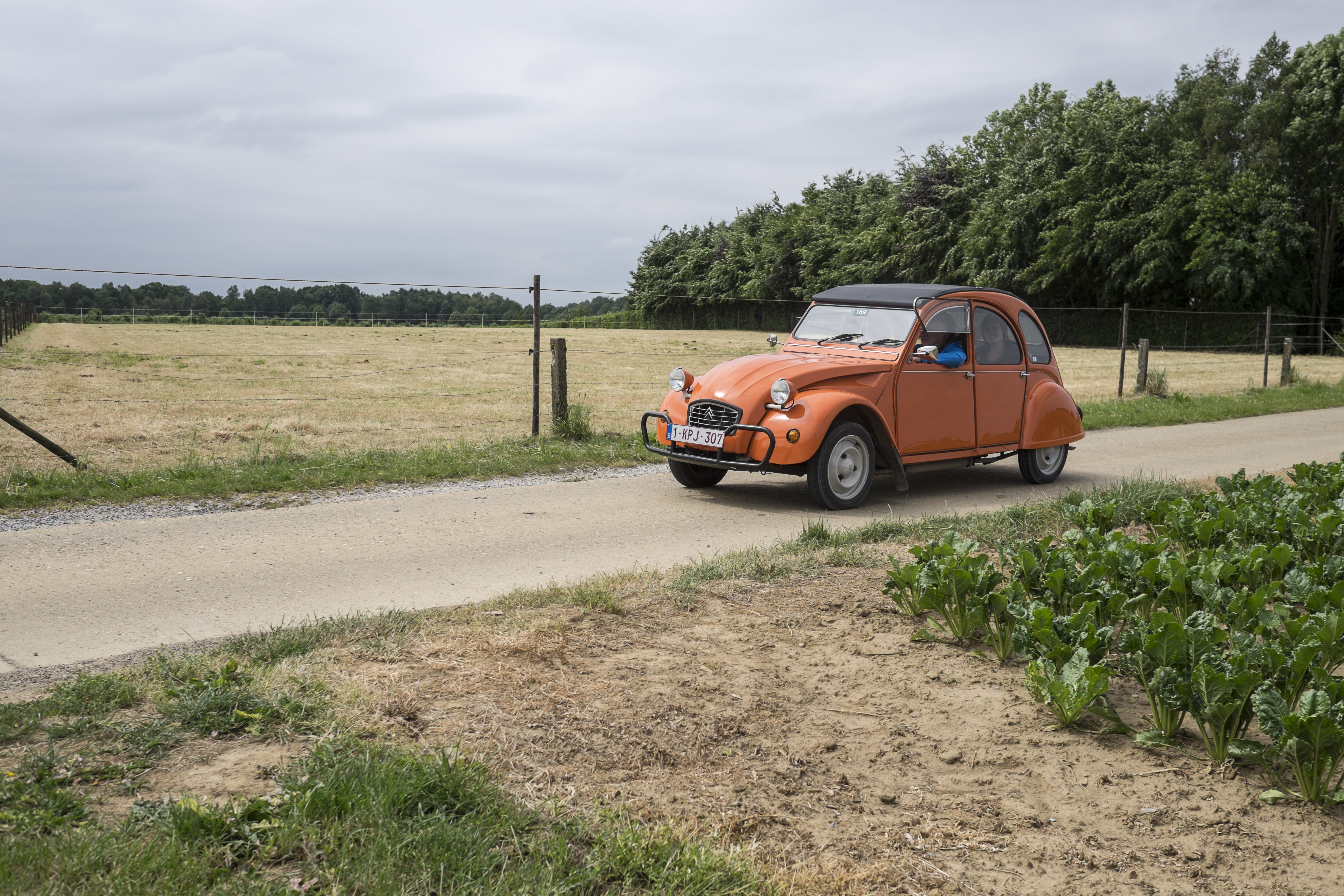 Through the wine landscapes of the Hageland with a 2CV